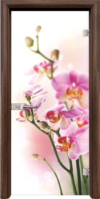 Стъклена врата Standart Print G 13-2 Pink, Орех