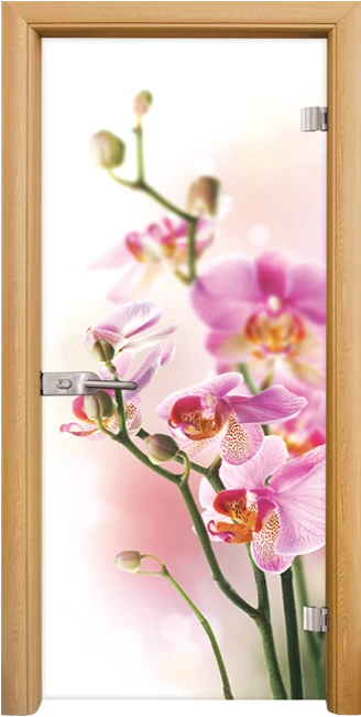 Стъклена врата Standart Print G 13-2, Светъл дъб