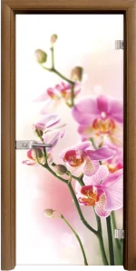 Стъклена врата Standart Print G 13-2, Златен дъб