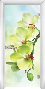 Стъклена врата Standart Print G 13-3 Green, Бяла