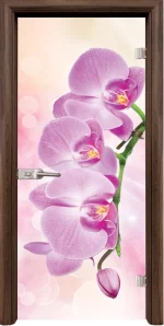 Стъклена врата Standart Print G 13-3 Pink, Орех